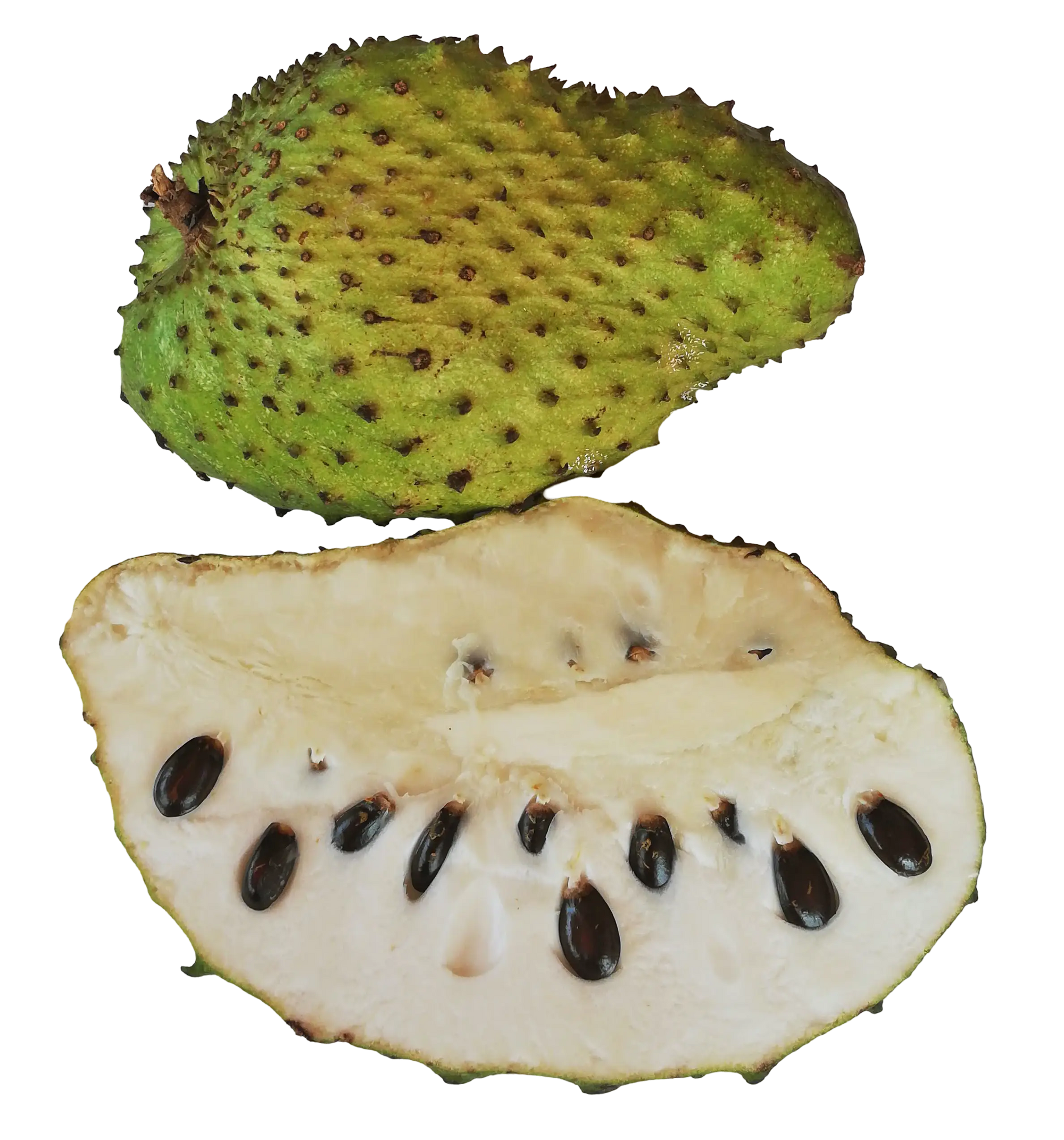 Soursop fruit powder 100g