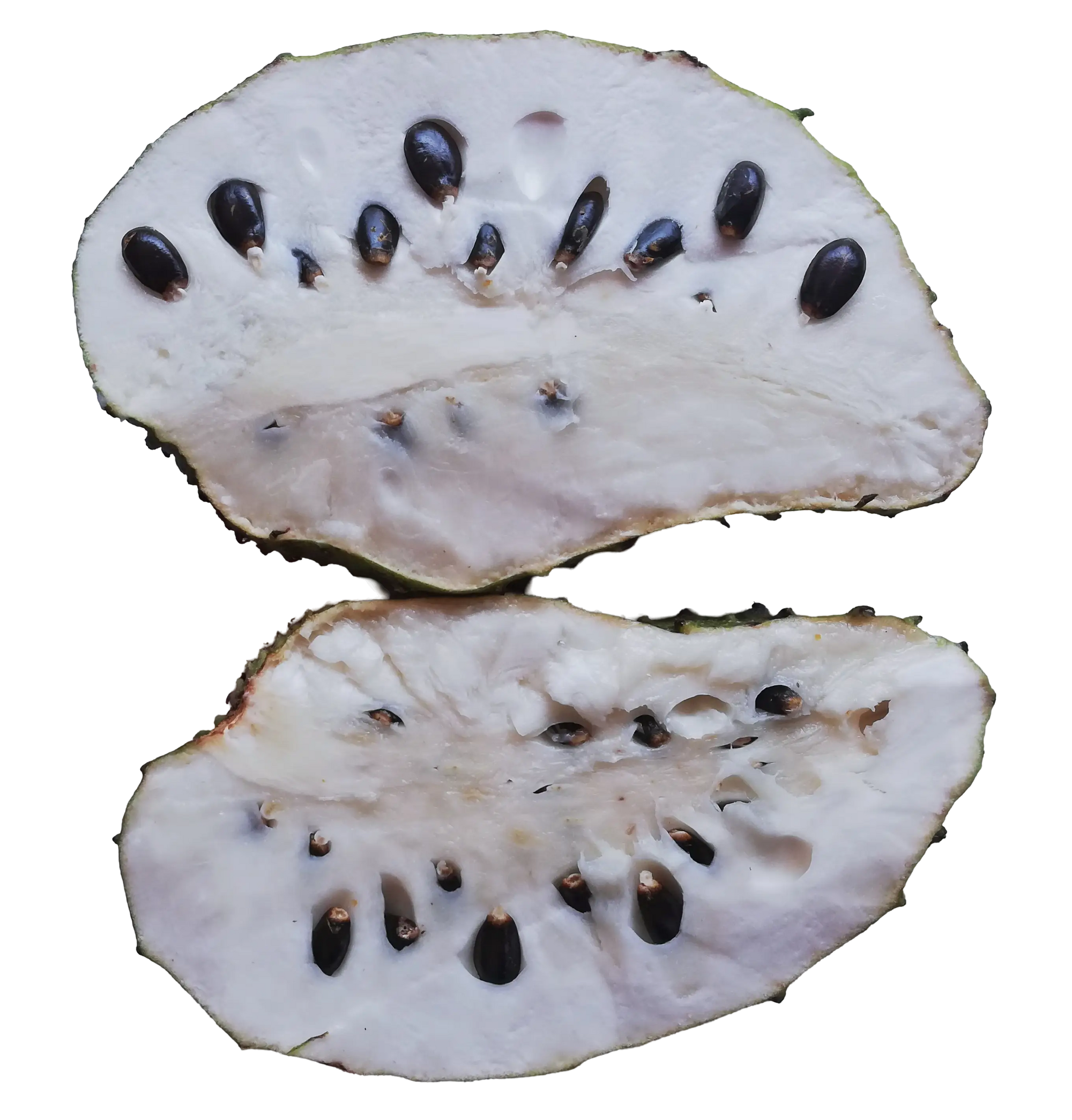 Soursop fruit powder 100g