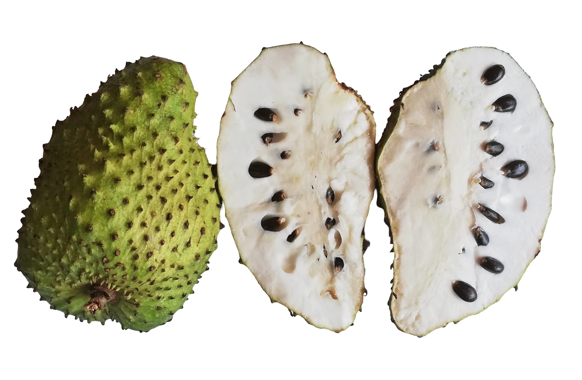 Soursop fruit powder 100g