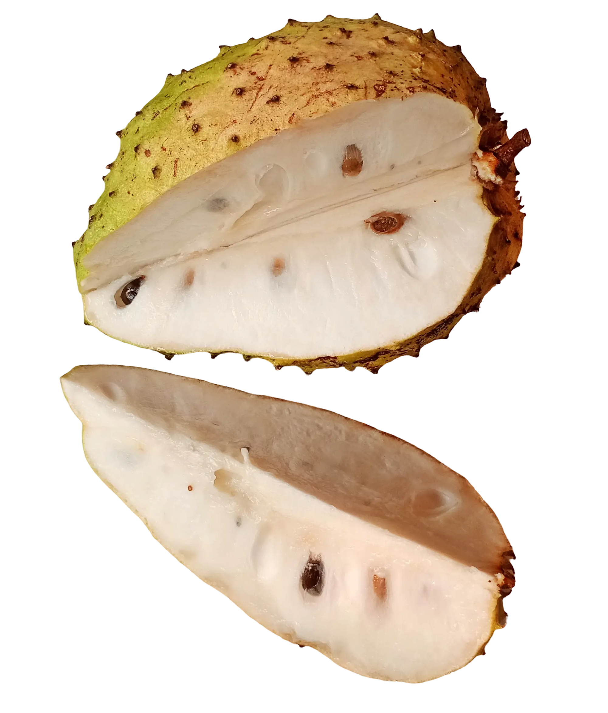 Soursop fruit powder 100g