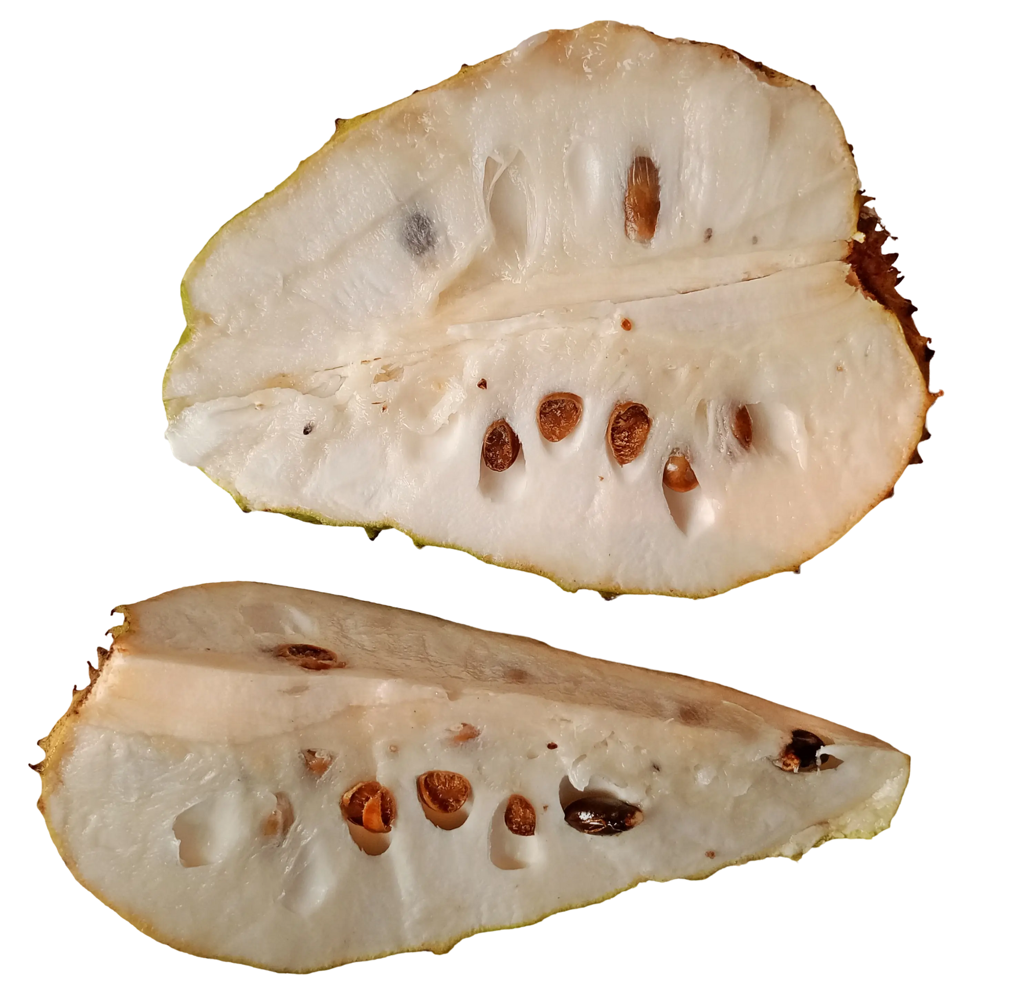 Soursop fruit powder 100g