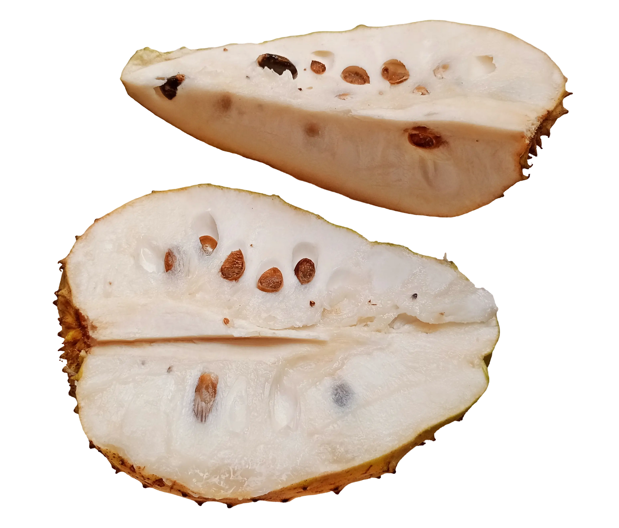 Soursop fruit powder 200g