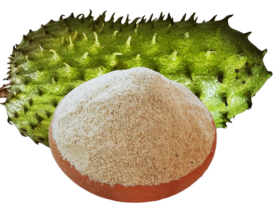 Soursop Fruit Powder, Also known as graviola, 100g, in Resealable Pouch, Dehydrated 100% Pure & Natural, Grade A Healthy Tasty Fruit Powder