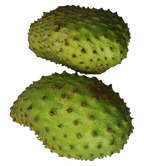 Soursop fruit powder 100g