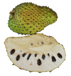 Soursop fruit powder 100g