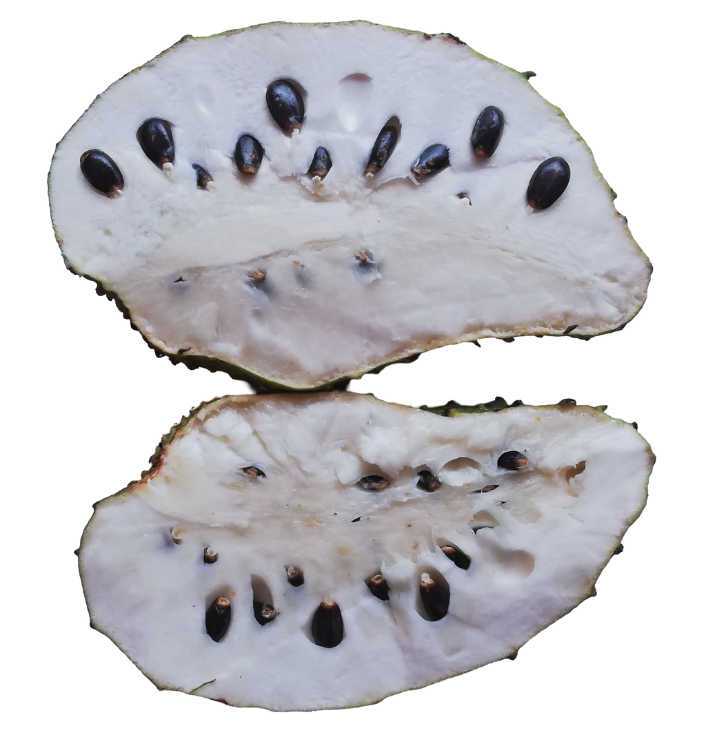 Soursop fruit powder 100g