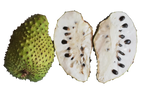 Soursop fruit powder 100g
