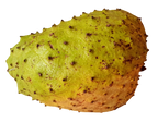 Soursop fruit powder 100g