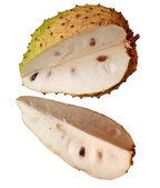 Soursop fruit powder 100g