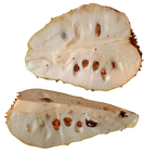 Soursop fruit powder 100g