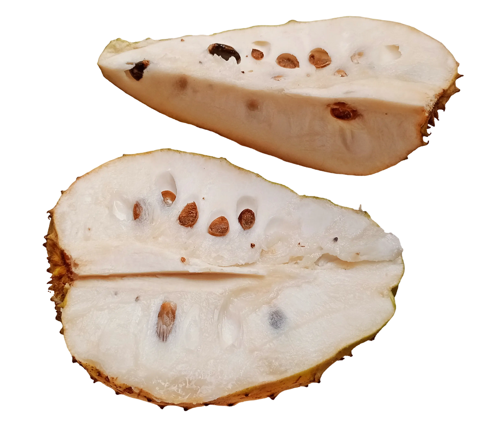 Soursop fruit powder 200g