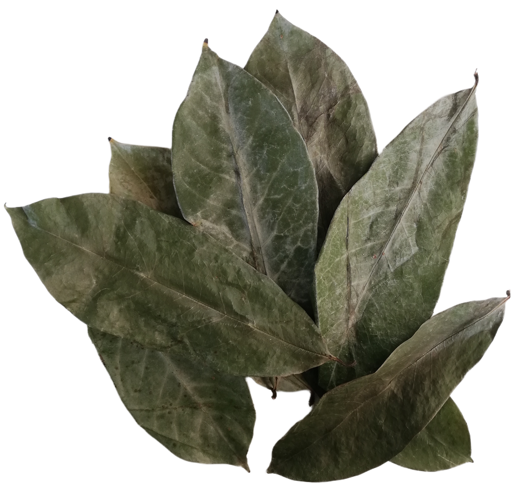 Soursop Leaves Powder, 250g / 8.8oz, Boost Immune System, Promotes Healthy Skin, Premium Grade, UK Seller