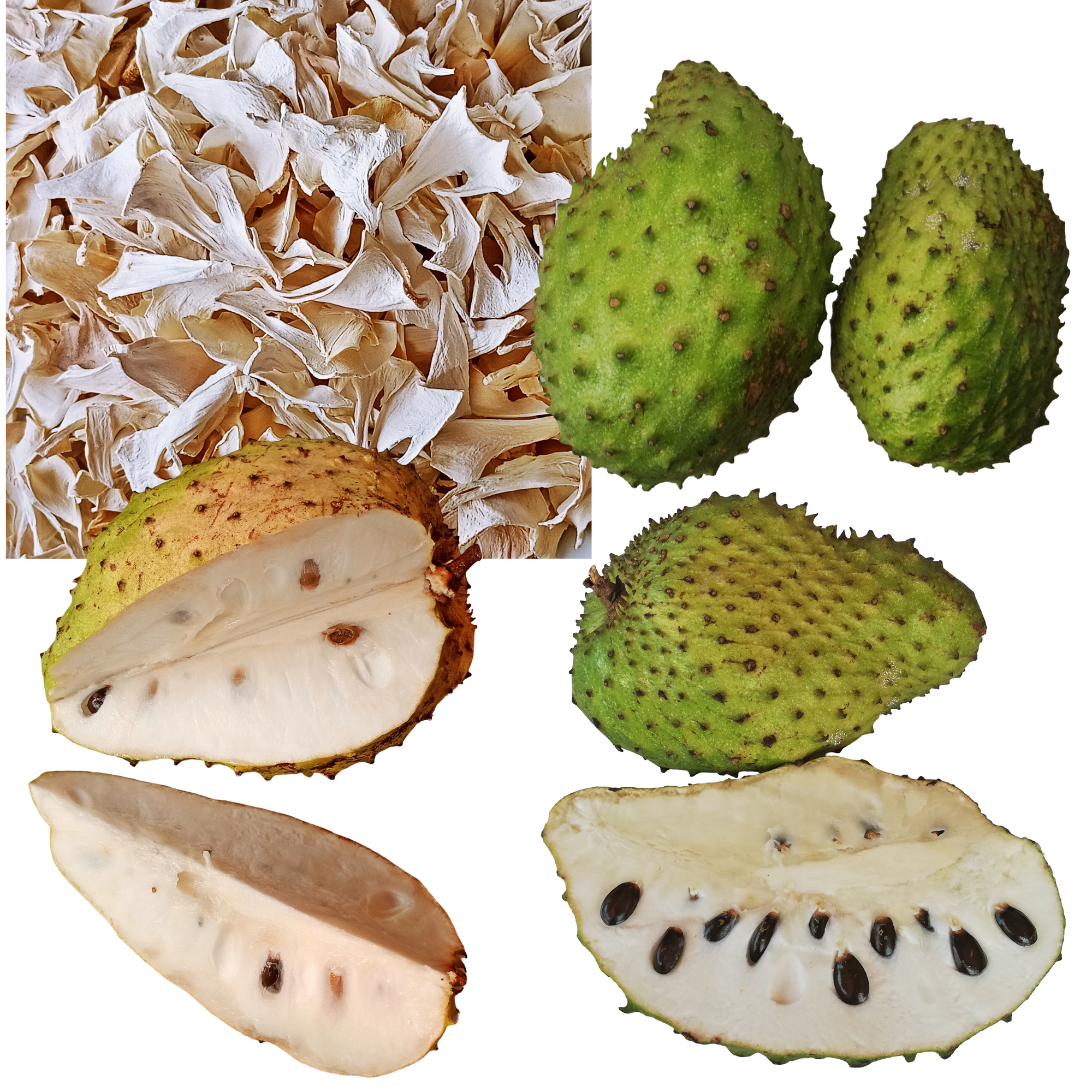 Soursop Fruit Slices, 100g, Dehydrated 100% Pure & Natural, Grade A Healthy Tasty Fruit Powder