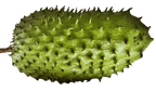 Soursop fruit powder 100g