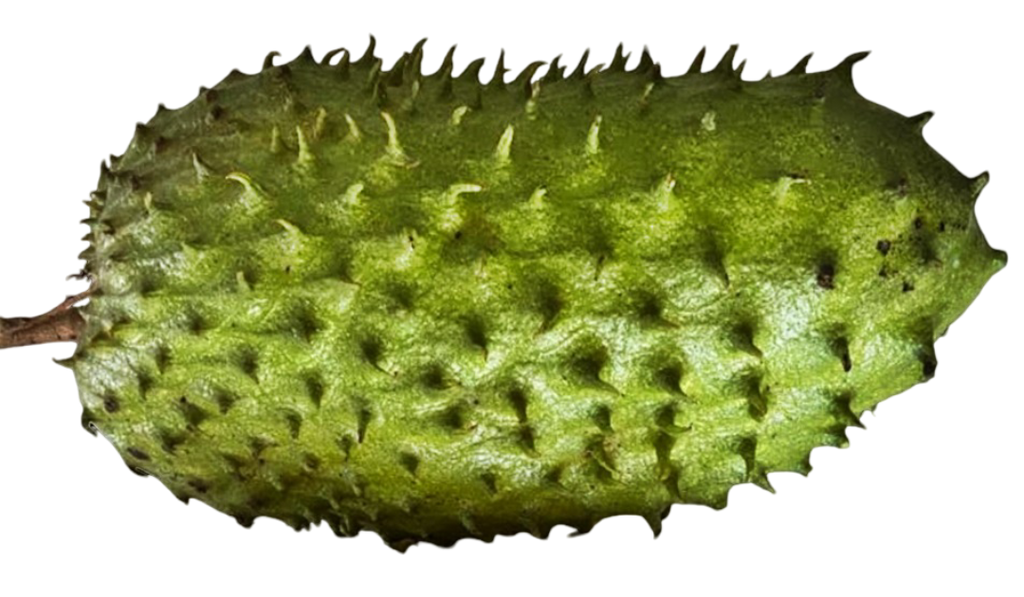SourSop Fruit Drink, Pure Herbal Infusion, (2x200ml) Pack of 2 Glass Bottles, 100% Natural, Guanabana