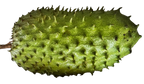 SourSop Fruit Drink, Pure Herbal Infusion, (2x200ml) Pack of 2 Glass Bottles, 100% Natural, Guanabana