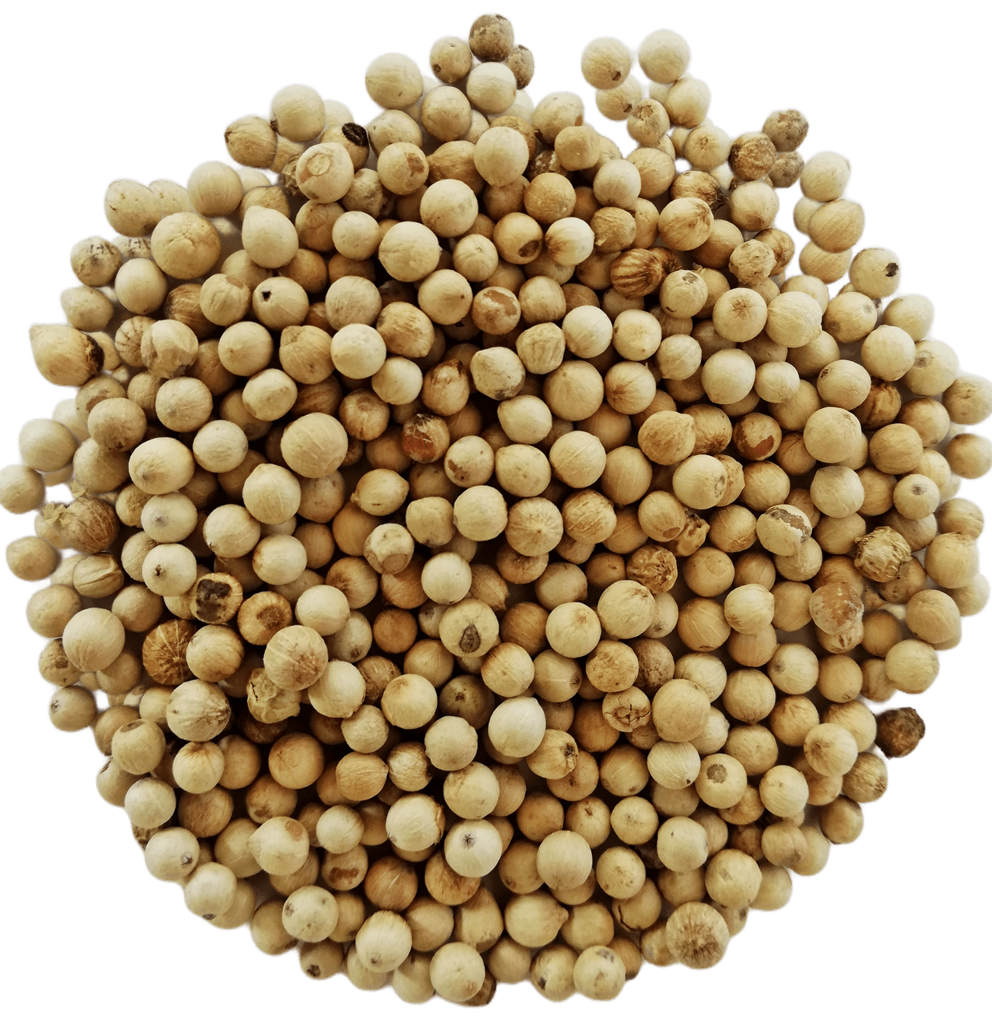 Organic White Peppercorn 100g (3.5oz) - Organic Premium Grade